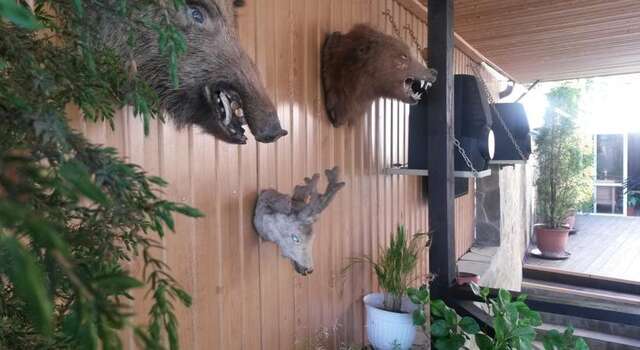 Гостиница Alexandra Guest House Адлер-25