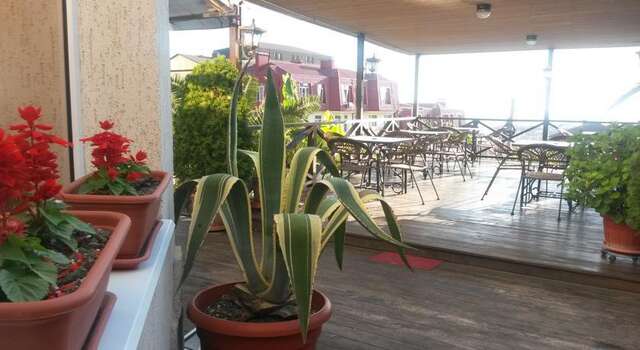 Гостиница Alexandra Guest House Адлер-20